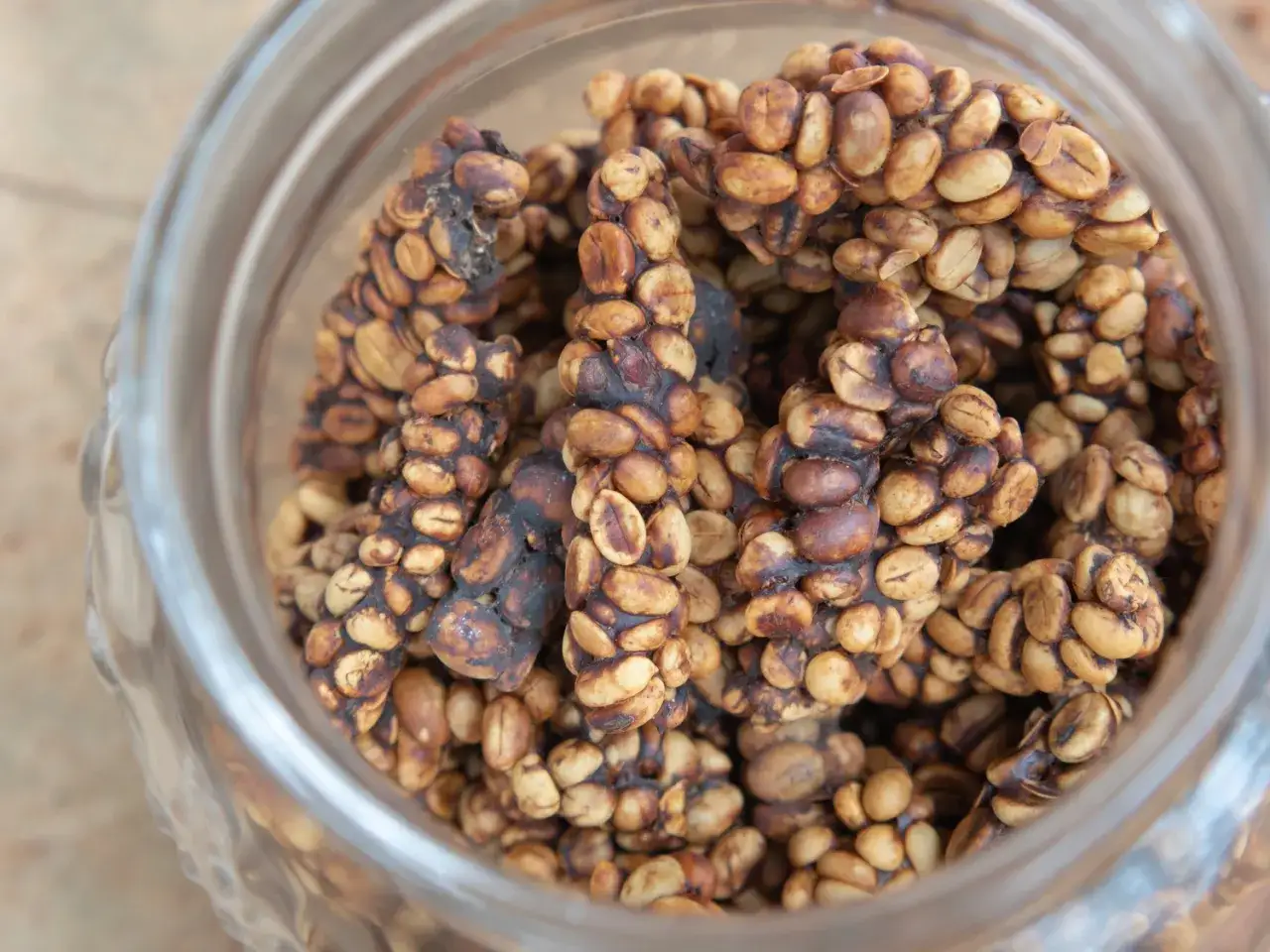 etyczna kawa kopi luwak