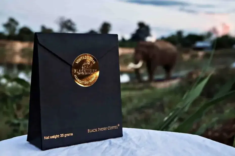 kawa black ivory słoń